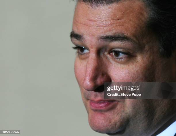 Senator Ted Cruz speaks at the annual Ronald Reagan Commemorative Dinner on, October 25, 2013 in Des Moines, Iowa. Cruz was the keynote speaker.