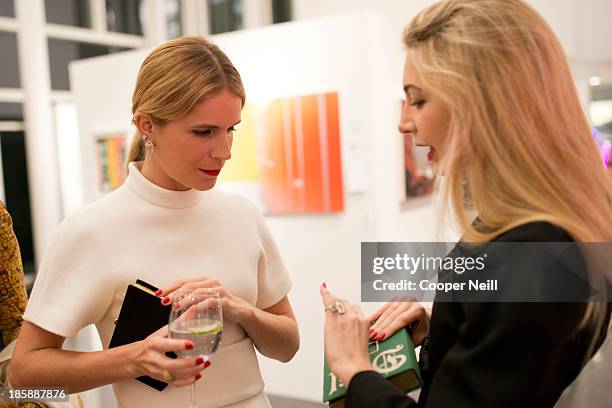 Designer Sabine Ghanem visits with guests during the Young Collectors Two x Two Cocktail party at the Rachofsky House on October 25, 2013 in Dallas,...