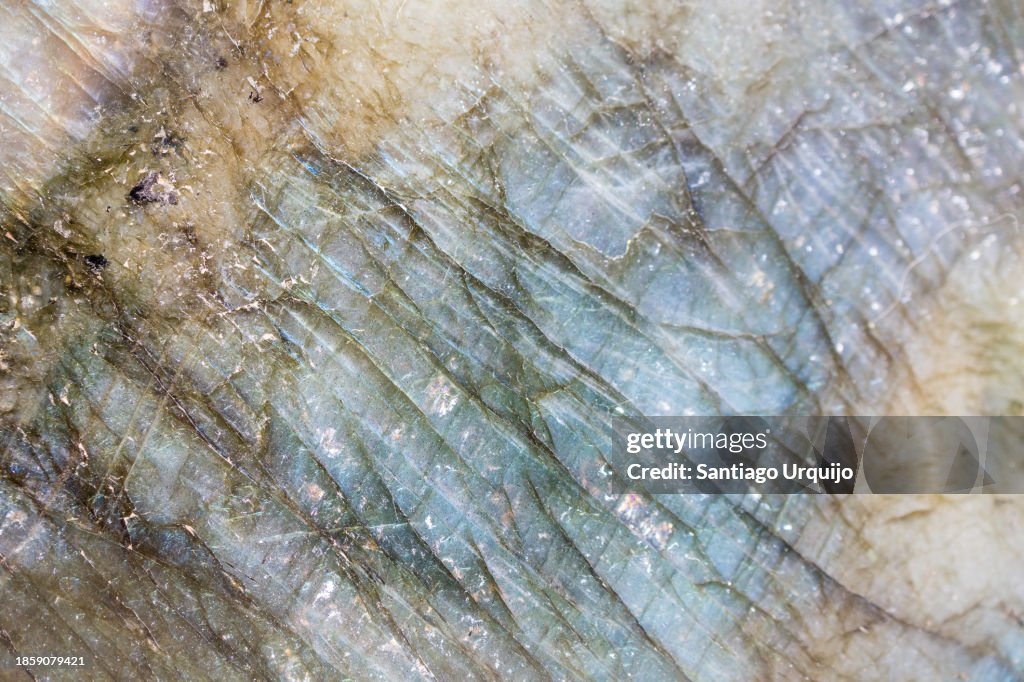 Close-up of a polished labradorite