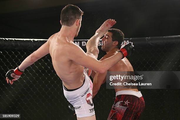 Nick Rella Nick Reale Photos and Premium High Res Pictures - Getty Images