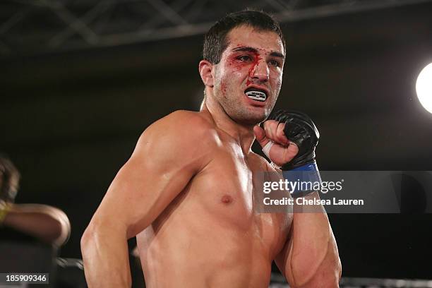 Nick Rella 15 Nick Reale Stock Photos, High-Res Pictures, and Images - Getty Images