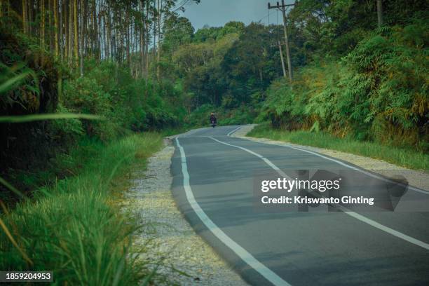 new asphalt road among eucalyptus forests - batemans bay stock-fotos und bilder