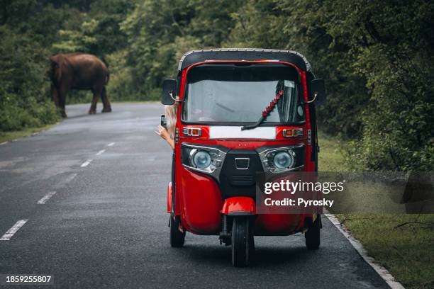 encountering a wild elephant while driving a tuk-tuk in sri lanka. - sri lankan elephant stock pictures, royalty-free photos & images