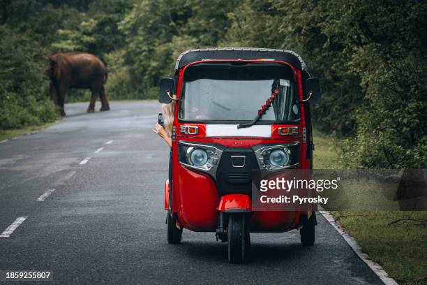 encountering a wild elephant while driving a tuk-tuk in sri lanka. - motorriksha bildbanksfoton och bilder
