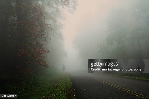 forest fog... - リンチバーグ ストックフォトと画像