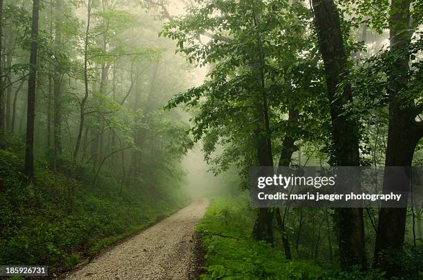 forest road - リンチバーグ ストックフォトと画像