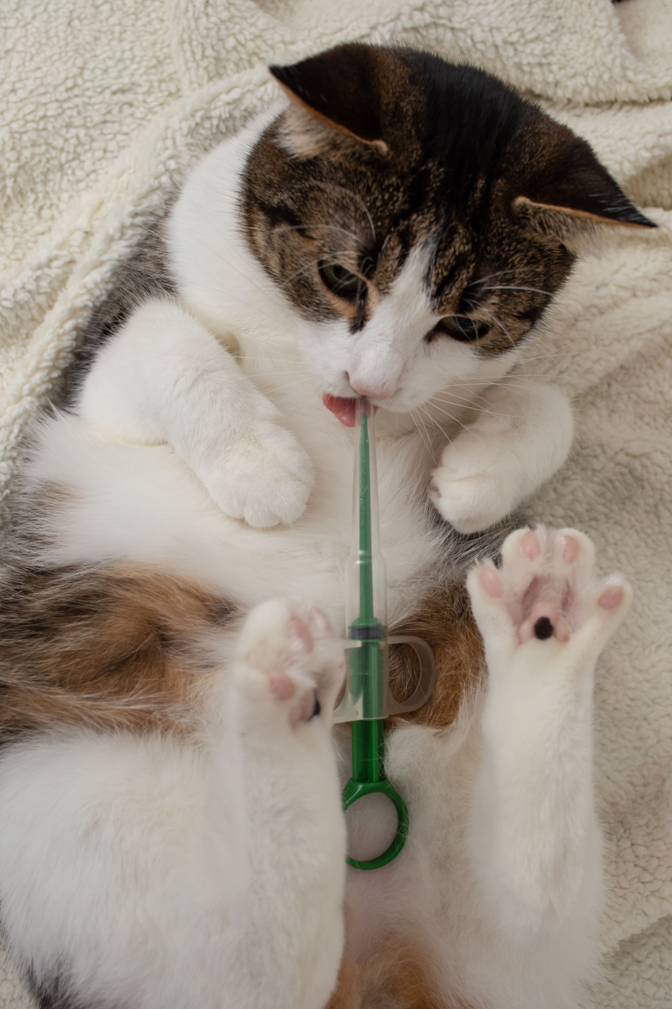 administering vitamins
