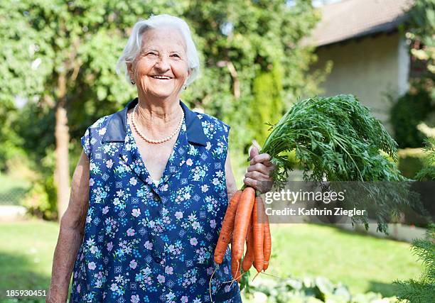 happy elderly lady holding a bunch of carrots - frau und garten und gemüse stock-fotos und bilder