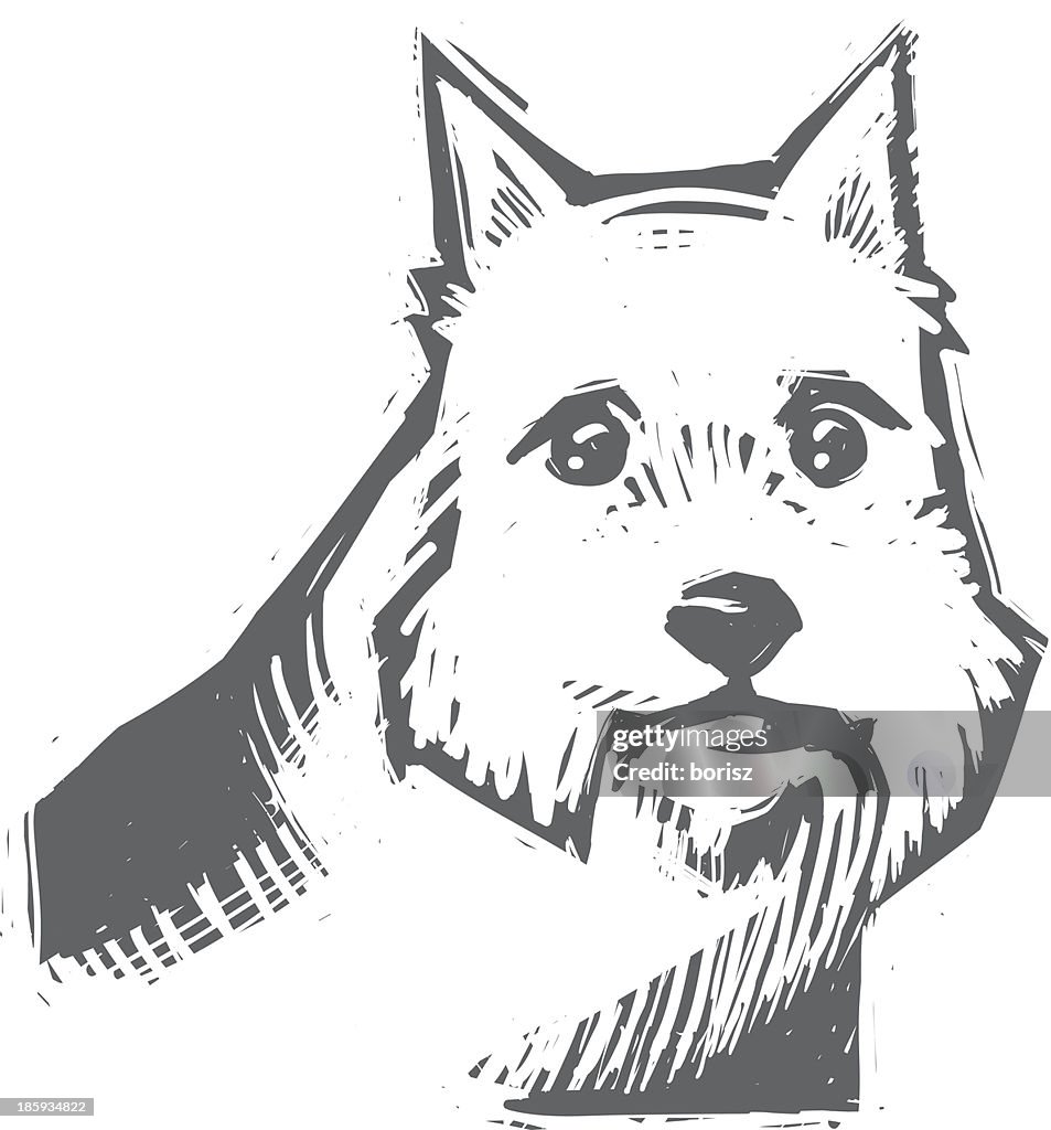Norwich Terrier