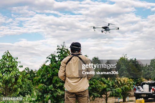 Farmer using Controller control Agricultural drone hover and during spraying over the Orchard and sunset sky background Farmer using Controller control Agricultural drone hover and during spraying over the Orchard and sunset sky background