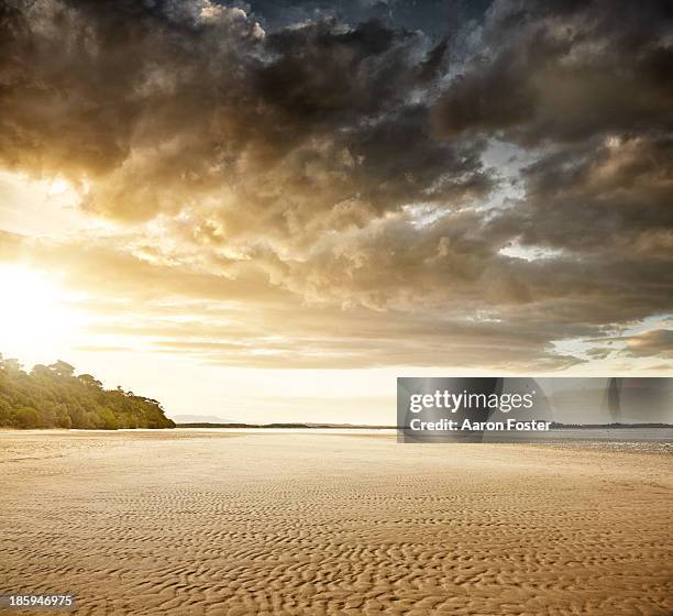 beach sunset - cielo dramático fotografías e imágenes de stock