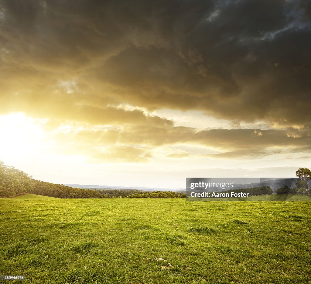 Country Landscape