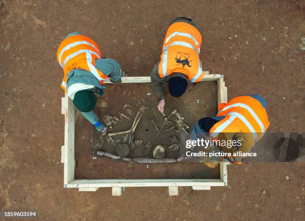 December 2023, Saxony-Anhalt, Wettin-Löbejün: Archaeologists bend over a grave site. Near Domnitz, a district of Wettin-Löbejün in the northern Saale...