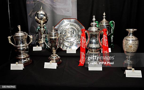 The Football Association's trophies, FA Women's Cup, FA Trophy, FA Youth Cup, FA Community Shield, FA Cup, FA Vase and FA Sunday Cup are displayed at...
