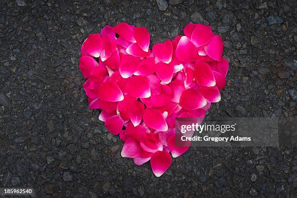 rose petal heart on asphalt - hatboro fotografías e imágenes de stock