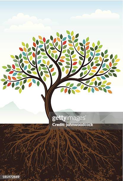 stockillustraties, clipart, cartoons en iconen met elegant colourful tree - wortel