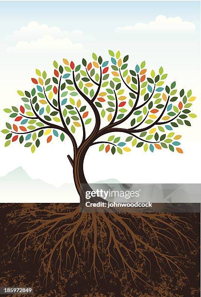 elegant colourful tree - roots stock illustrations