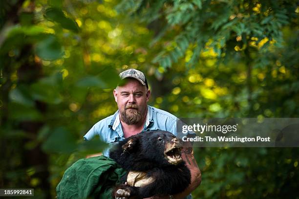 Henson carries a bear skin to the backyard Thursday August 15, 2013 in Alderson, WV. Henson, who has worked as a coal strip miner, in coal mine...