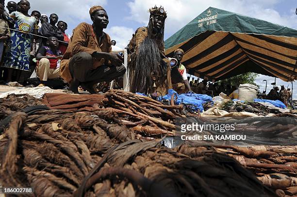 Traditional Ivorian Dozo hunters, members of the Binkadi association that gathers all Dozos in the region, sell charms on September 27, 2013 in Kani,...