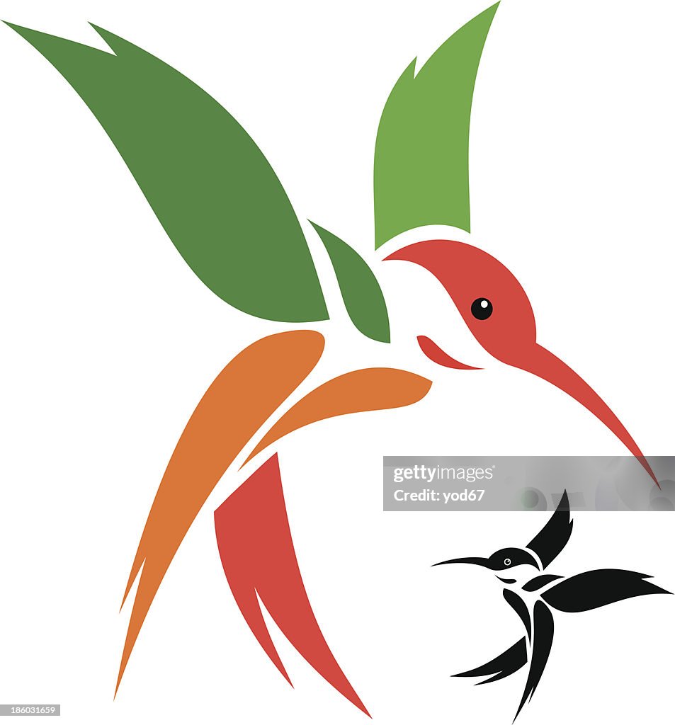 Native Humming Bird Vector Vector Image Of An Hummingbird High-Res Vector Graphic - Getty Images