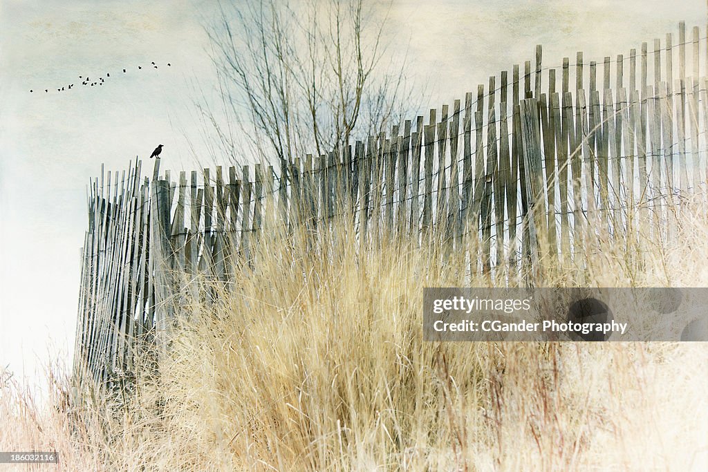 Winter Fence