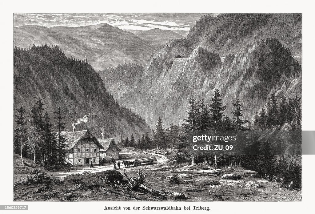 Black Forest landscape near Triberg, µþ²¹»å±ð²Ô-°Âü°ù³Ù³Ù±ð³¾²ú±ð°ù²µ, Germany, woodcut, published 1894