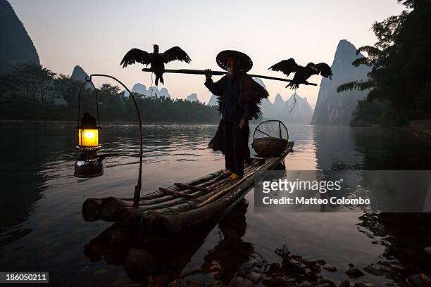 fisherman with cormorants on li river, china - bamboo raft foto e immagini stock