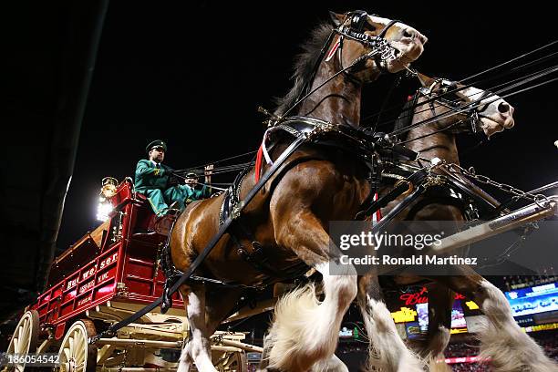 The Budweiser clydesdale horses walk on the field prior to Game Four of the 2013 World Series between the Boston Red Sox and the St. Louis Cardinals...
