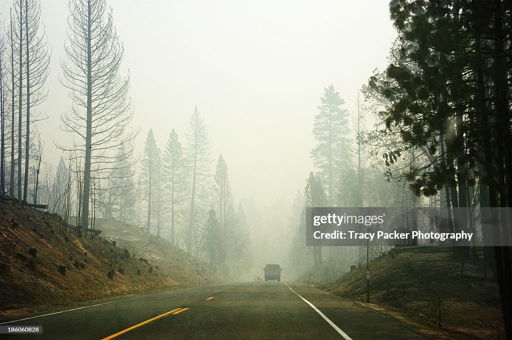 The edge of the Yosemite Rim Fire