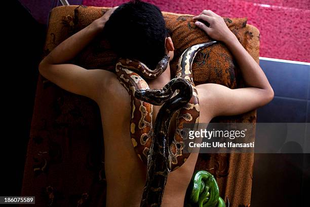 Customers undertakes a massage using pythons at Bali Heritage Reflexology and Spa on October 27, 2013 in Jakarta, Indonesia. The snake spa offers a...
