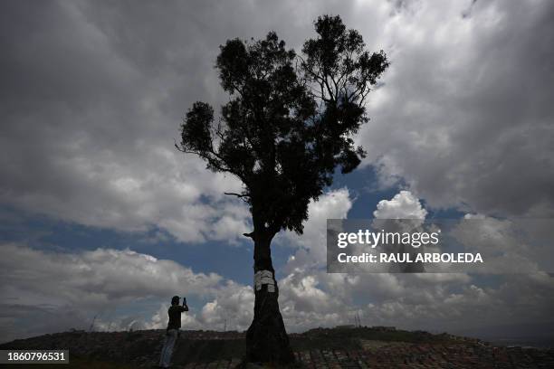 Man takes a picture with his cell phone of the "El Palo del Ahorcado" eucalyptus tree in the neighborhood of Ciudad Bolivar, south of Bogota, on...