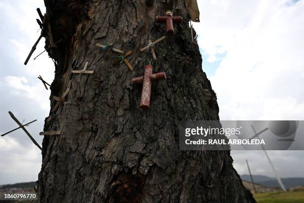 Crosses are seen on the "El Palo del Ahorcado" eucalyptus tree at the Ciudad Bolivar neighborhood, south of Bogota, on December 19, 2023. A...
