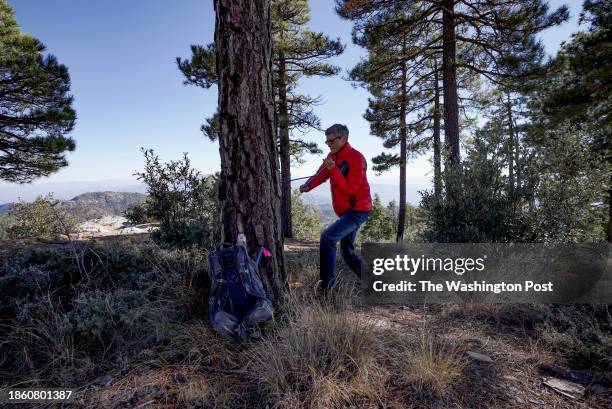 Researcher Kiyomi Morino extracts a core sample from a ponderosa pine on November 21, 2023 in Mt. Lemmon, Arizona. Morino researches cellular level...