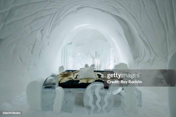 View of the room called "DREAM WITH A THORN" that was created by artists Monica Popescu and Emmylou Varon at Icehotel 34 on December 15, 2023 in...