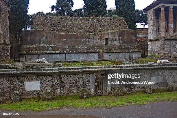 29 Eumachia Stock Photos, HighRes Pictures, and Images Getty Images