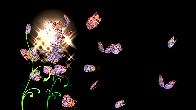 148 Butterfly Wallpaper Free Videos and HD Footage - Getty Images 148 Butterfly Wallpaper Free Videos and HD Footage - Getty Images