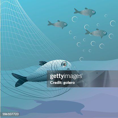 Fish Is Caught In The Net High-Res Vector Graphic - Getty Images