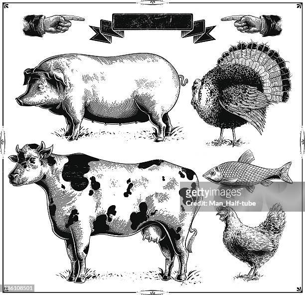 ilustraciones, imágenes clip art, dibujos animados e iconos de stock de animales de granja - grabado técnica de ilustración ilustraciones
