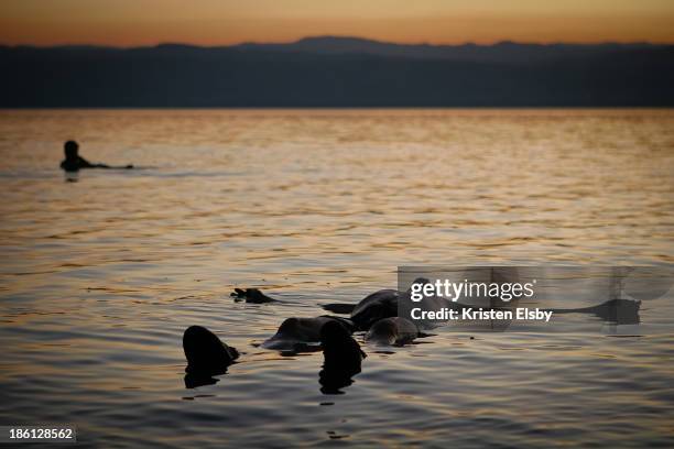 The Dead Sea lies 400m below sea level and is hyper-salty causing bathers to bob and float on the surface. It is a hostile environment to all marine...