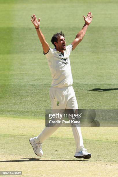 Mitchell Starc of Australia celebrates dismissing Imam-Ul-Haq of Pakistan for lbw during day four of the Men's First Test match between Australia and...