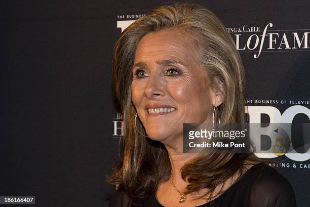 Journalist Meredith Vieira attends the Broadcasting and Cable 23rd Annual Hall of Fame Awards Dinner at The Waldorf Astoria on October 28, 2013 in...