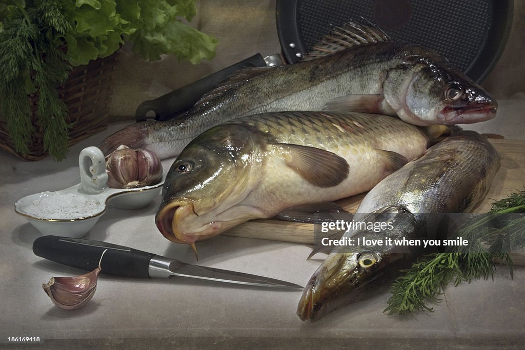 Still life with fresh fish and dill