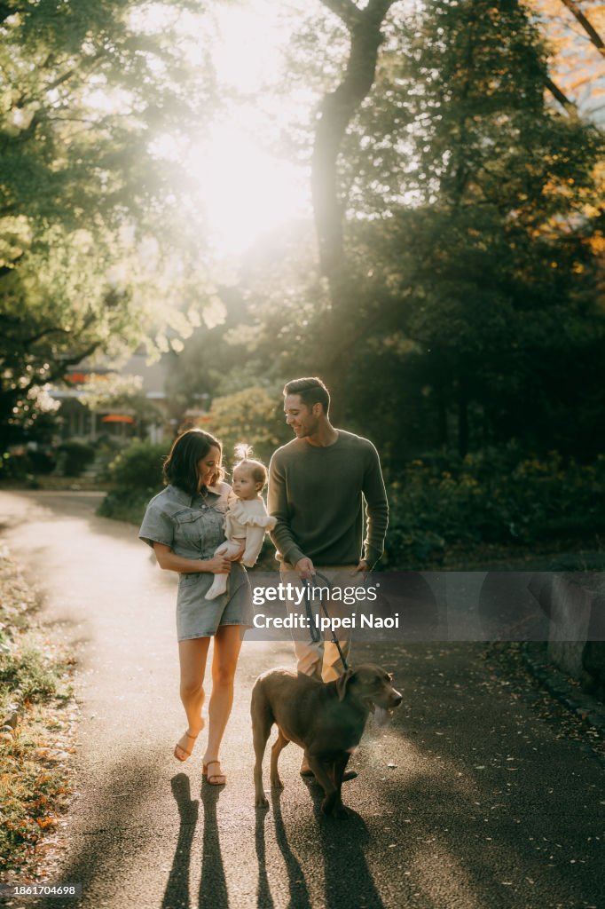 Family with baby and dog walking in park at sunset