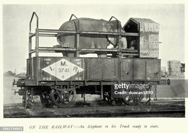 stockillustraties, clipart, cartoons en iconen met elephant of the british indian army being transported by train, victorian, military history 1890s 19th century - rail freight