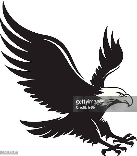 eagle - bald eagle stock-grafiken, -clipart, -cartoons und -symbole