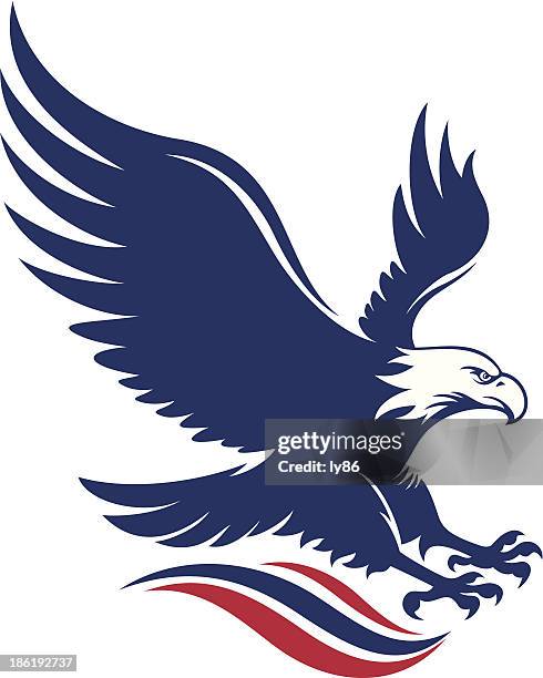 stockillustraties, clipart, cartoons en iconen met american eagle - vliegen