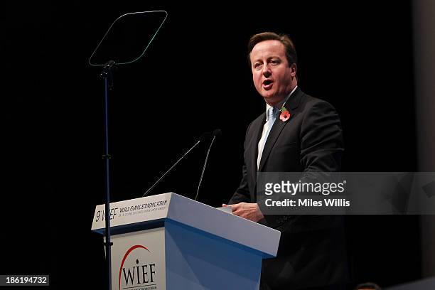 British Prime Minister David Cameron speaks on stage during the Leaders Panel at the 9th World Islamic Economic Forum at ExCel on October 29, 2013 in...