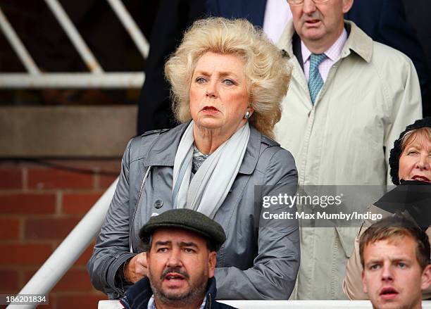 K Rausing 59 Kirsten Rausing Stock Photos, High-Res Pictures, and Images - Getty ...
