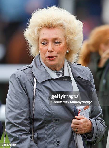 K Rausing Kirsten Rausing attends the Armed Forces Race Day at Newbury... News ...