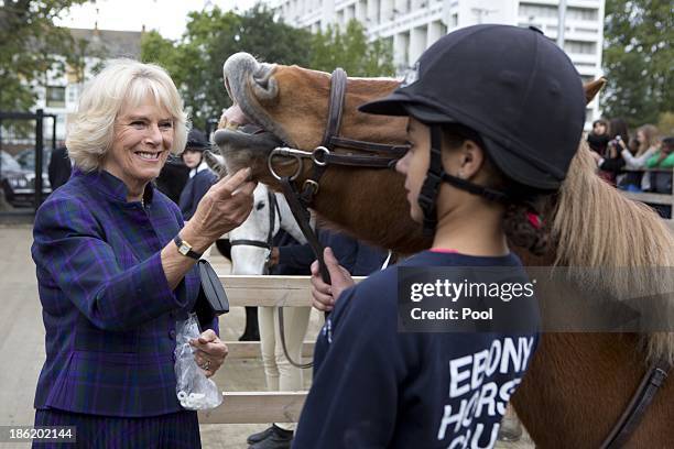 Camilla, Duchess of Cornwall during a visit to Ebony Horse Club & Community Riding Centre on October 29, 2013 in London, England.